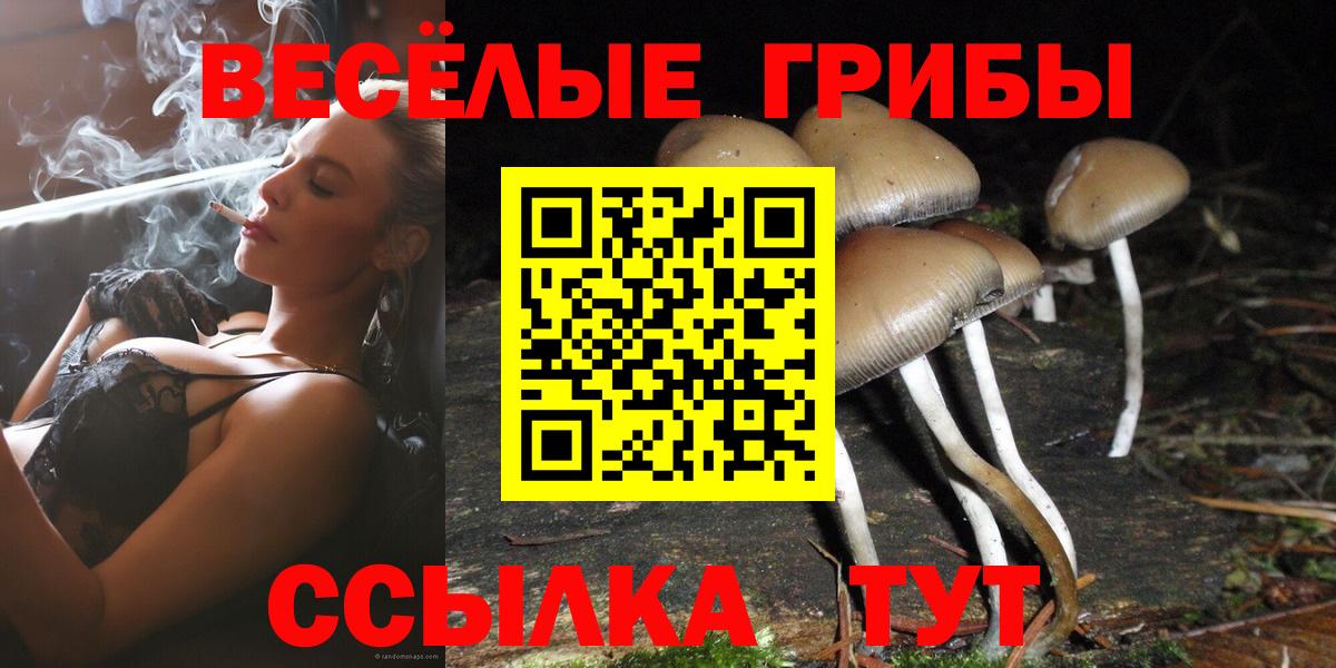 Тавда  Галлюциногенные грибы мухоморы  Вход с VPN 