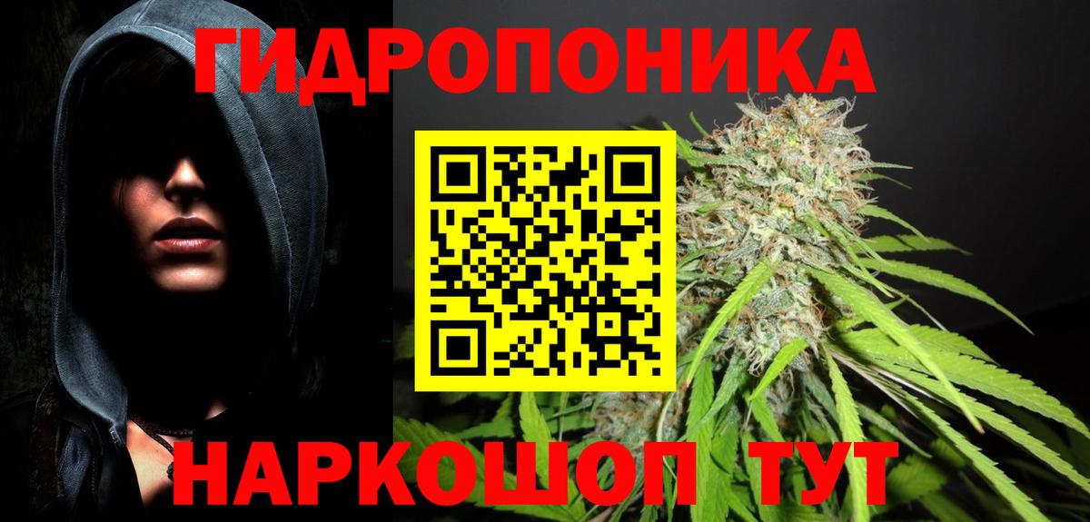 Конопля семена  Бошки Шишки OG Kush  Вход с VPN  Тавда 